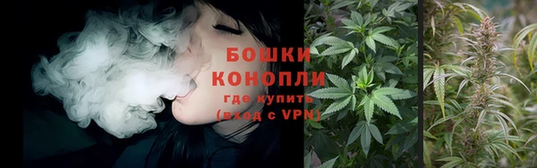 прущие грибы Красноперекопск