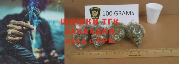 шишки Сосновоборск