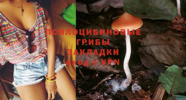 шишки Кукмор
