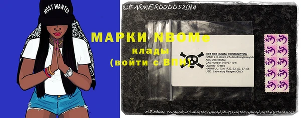 шишки Кукмор