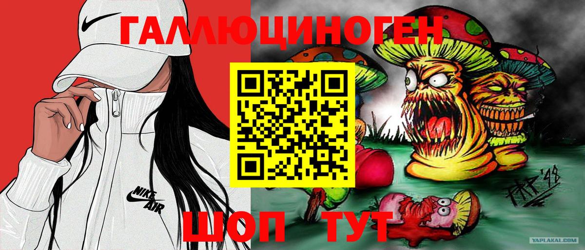 Чапаевск  хочу   Вход с VPN  Псилоцибиновые грибы мухоморы 