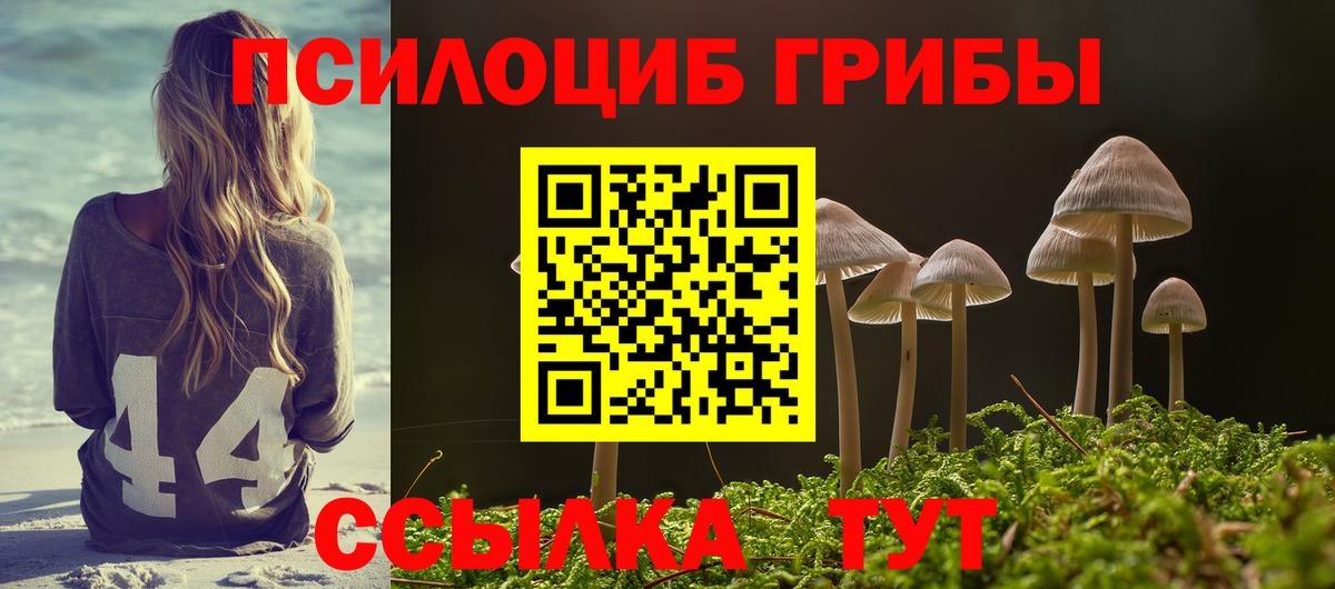 Псилоцибиновые грибы Cubensis  Чапаевск 