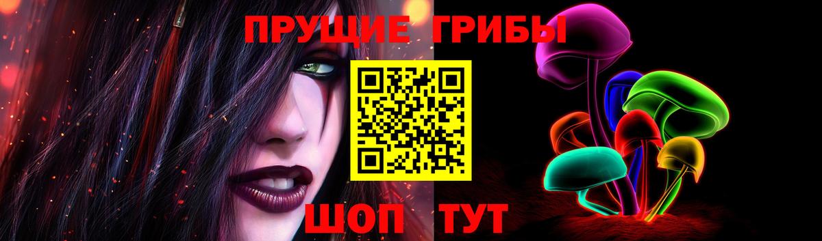 Псилоцибиновые грибы Cubensis Чапаевск